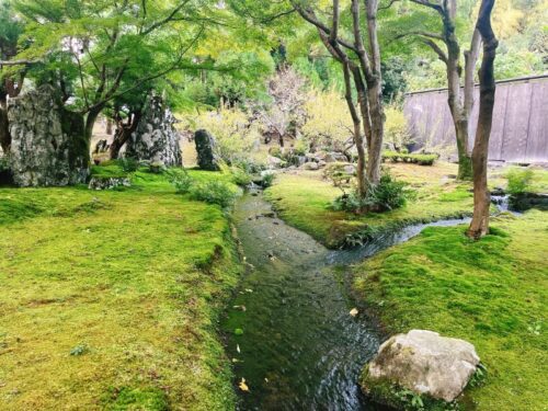 京都_ロク_ROKU_KYOTO_日本庭園_川