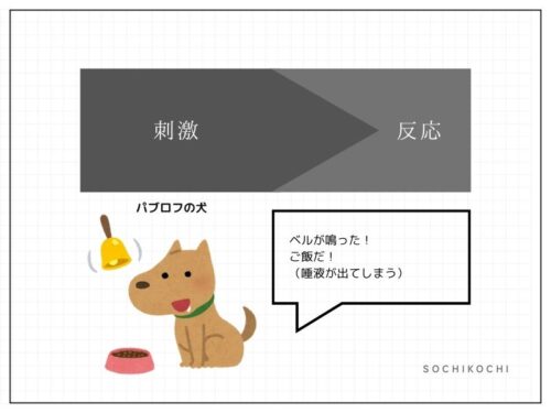 7つの習慣_刺激と反応_パブロフの犬