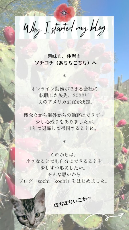 自己紹介_アクア_sochikochi_ソチコチ_アメリカ_駐在妻_ブログ_体験談_旅ブロガー_プロフィール