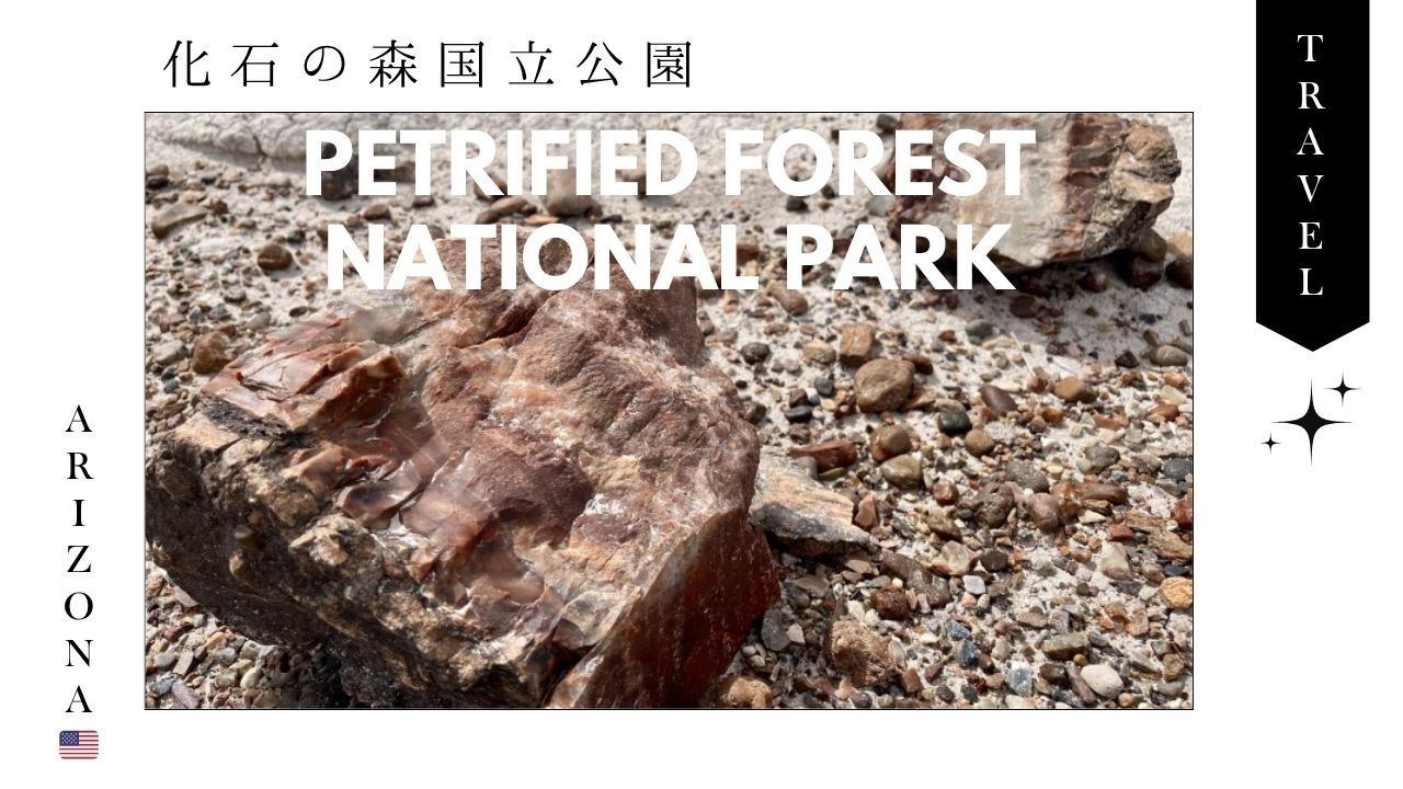 アリゾナ_化石の森_国立公園_アメリカ_旅行_観光_おすすめ_スポット_トイレ_お土産