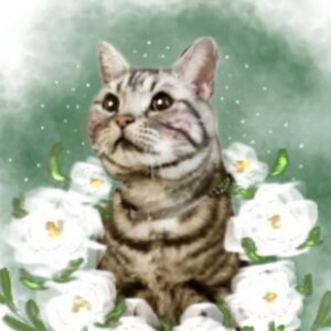 ねこ