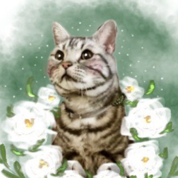 ねこ