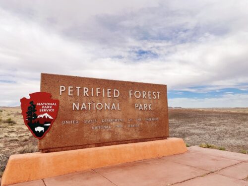 アリゾナ_化石の森_国立公園_アメリカ_旅行_観光_PETRIFIED_FOREST_NATIONAL_PARK
