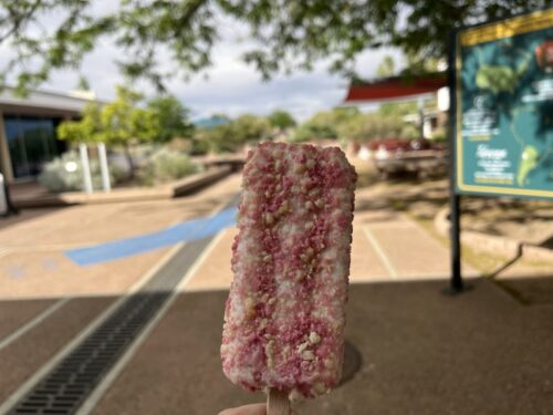 アリゾナ_化石の森_国立公園_アメリカ_旅行_観光_ギフトショップ_お土産