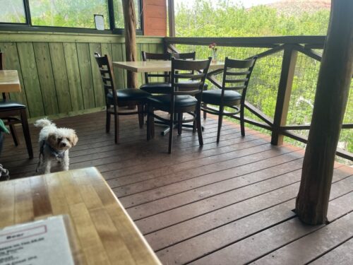 セドナ_アップタウン_レストラン_イタリアン_ランチ_ご飯_景色_テラス