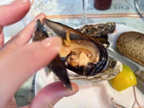 ニース_フランス_旅行_シーフード_海鮮_レストラン_おすすめ_観光_ムール貝