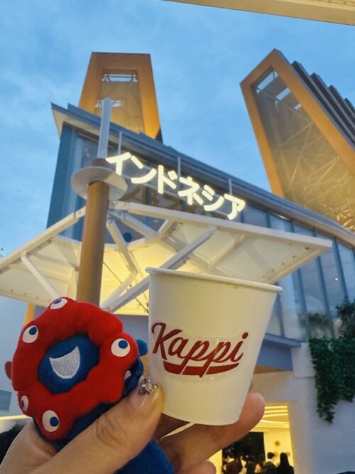 関西_大阪_万博_2025_体験談_西ゲート_夜_観光_レポート_パビリオン_予約なし_インドネシア