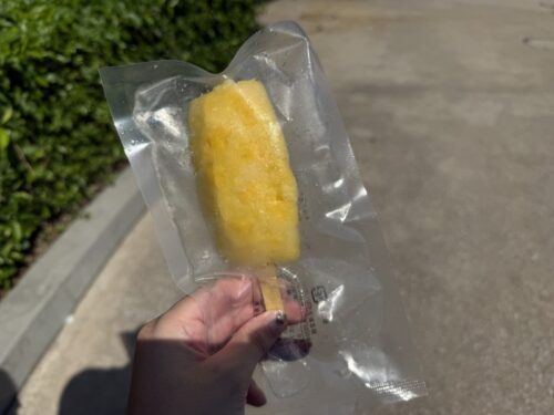 usj_osaka_ユニバ_大阪_2025_夏_観光_一時帰国_フローズン_熱中症