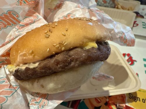 usj_osaka_ユニバ_大阪_2025_猛暑_夏_観光_一時帰国_熱中症_食事_おすすめ