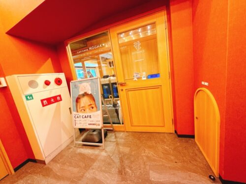 猫カフェ_大阪_梅田＿おすすめ_人気_catcafe_osaka