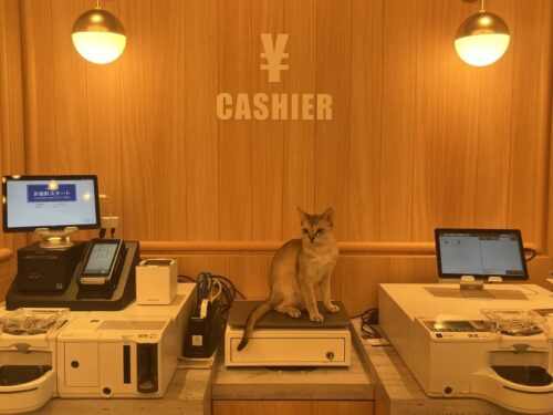 猫カフェ_大阪_梅田＿おすすめ_人気_catcafe_osaka