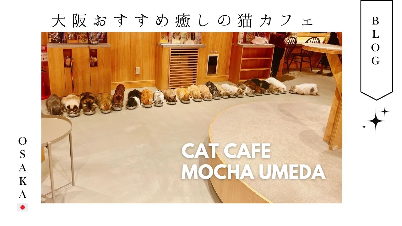 猫カフェ_大阪_梅田_おすすめ_人気_catcafe_osaka_japan