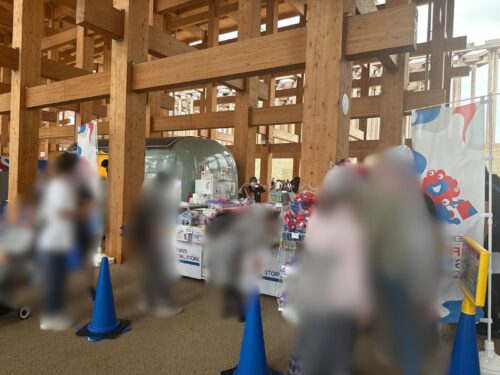 関西_大阪_万博_2025_体験談_西ゲート_夜_観光_レポート_パビリオン_大屋根リング