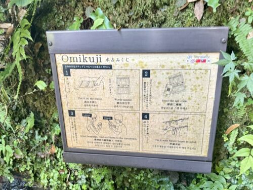 京都_貴船_観光_貴船神社　_kifunejinjya_水占い_プラン