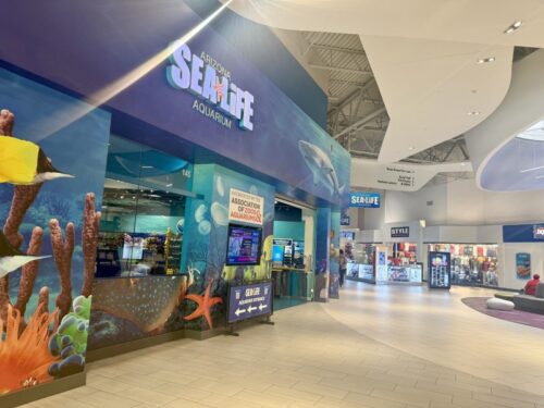 アリゾナ_arizona_ショッピングモール_観光_アリゾナミルズ_mills_水族館_sealife