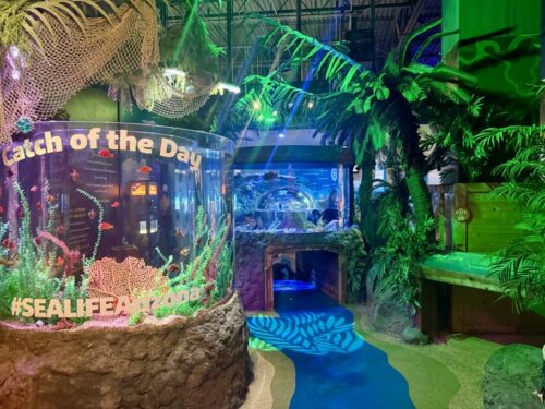 アリゾナ_arizona_観光_アリゾナミルズ_水族館
