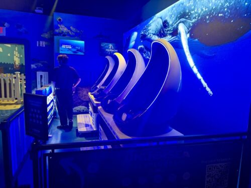 アリゾナ_arizona_観光_アリゾナミルズ_水族館_VR
