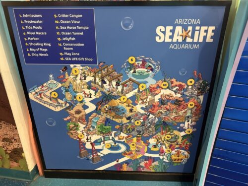 アリゾナ_arizona_ショッピングモール_観光_アリゾナミルズ_mills_水族館_sealife