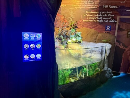 アリゾナ_arizona_ショッピングモール_観光_アリゾナミルズ_mills_水族館_sealife