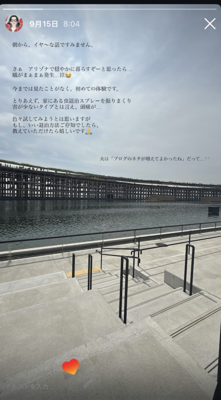 アメリカ_蟻_アリ_駆除_退治_方法_対処_おすすめ_terro_アパート
