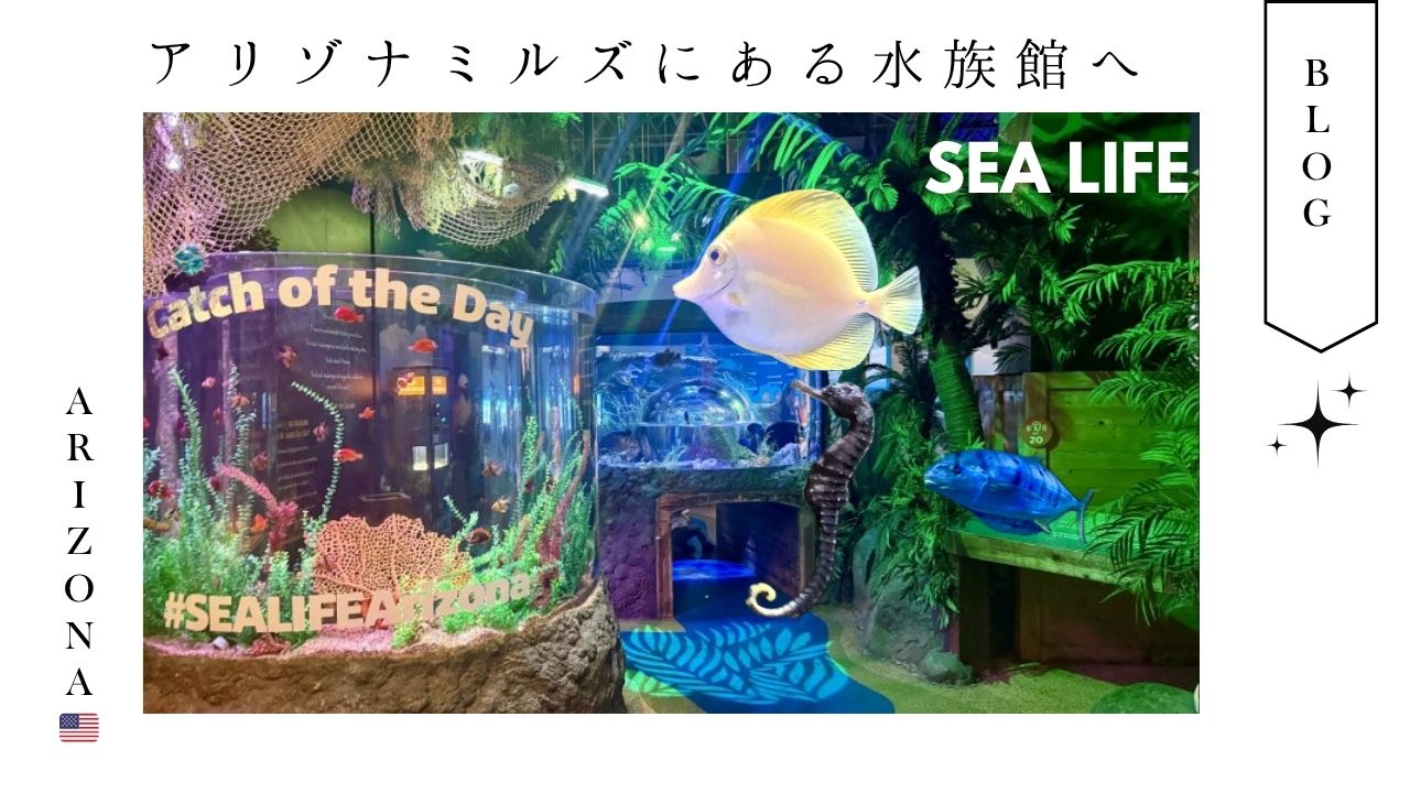 アリゾナ_arizona_観光_アリゾナミルズ_水族館_家族_ファミリー_SEALIFE_シーライフ