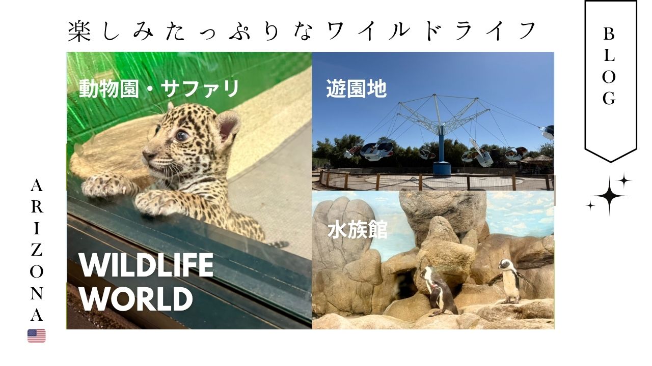 アリゾナ_wildlife_ワイルドライフ_動物園_ジャガー_赤ちゃん_おすすめ_ファミリー_観光