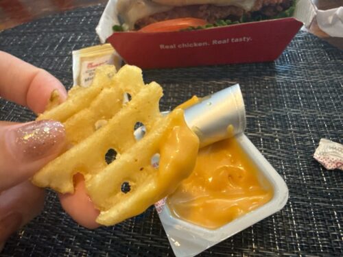 アメリカ_ハンバーガー_ポテト_おすすめ_駐在妻_アリゾナ_チックフィレイ_ソース