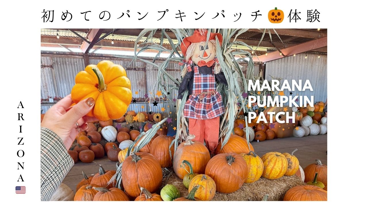 アリゾナ_パンプキンパッチ_イベント_カボチャ_マラナ_az_アメリカ生活_文化_ハロウィン