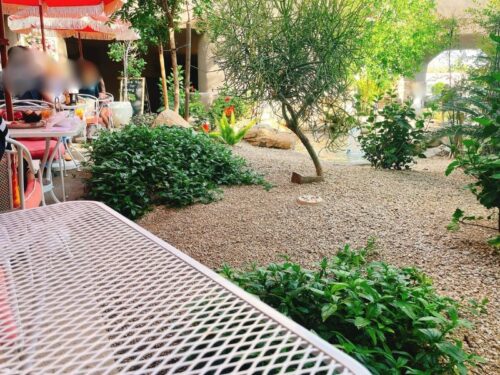 スコッツデール_カフェ_朝_モーニング_おすすめ_アリゾナ