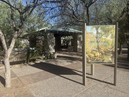 アリゾナ_サビノキャニオン_観光_ツーソン_トレイル_散歩_自然_sabino_サボテン