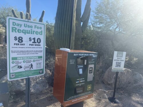 アリゾナ_サビノキャニオン_観光_ツーソン_トレイル_散歩_自然_sabino_サボテン_駐車場