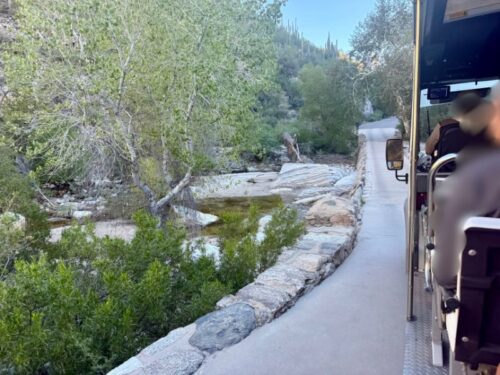 シャトル_アリゾナ_サビノキャニオン_観光_ツーソン_トレイル_散歩_自然_sabino_サボテン