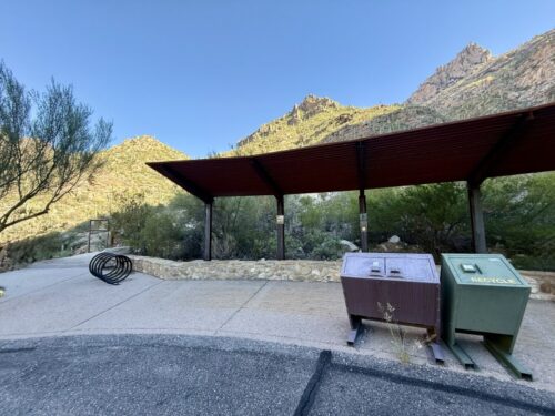 アリゾナ_サビノキャニオン_観光_ツーソン_トレイル_散歩_自然_sabino_サボテン