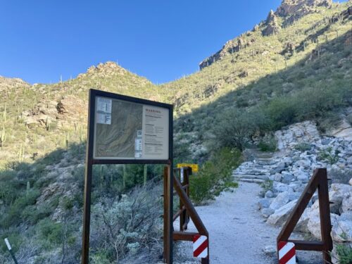 アリゾナ_サビノキャニオン_観光_ツーソン_トレイル_散歩_自然_sabino_サボテン