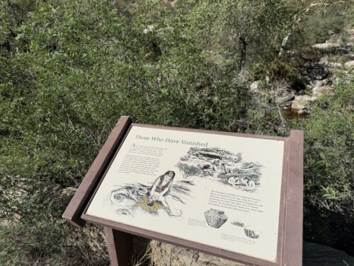 アリゾナ_サビノキャニオン_観光_ツーソン_トレイル_散歩_自然_sabino_サボテン