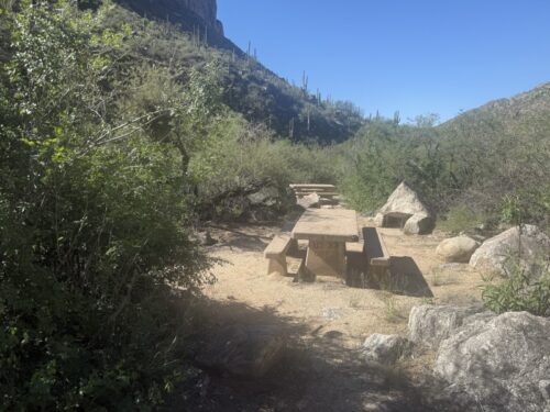 アリゾナ_サビノキャニオン_観光_ツーソン_トレイル_散歩_自然_sabino_サボテン