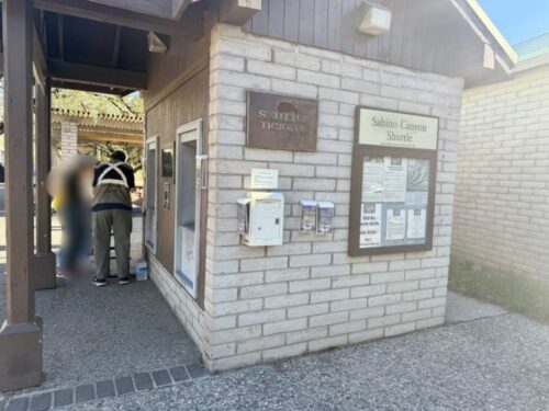 アリゾナ_サビノキャニオン_観光_ツーソン_トレイル_散歩_自然_sabino_サボテン