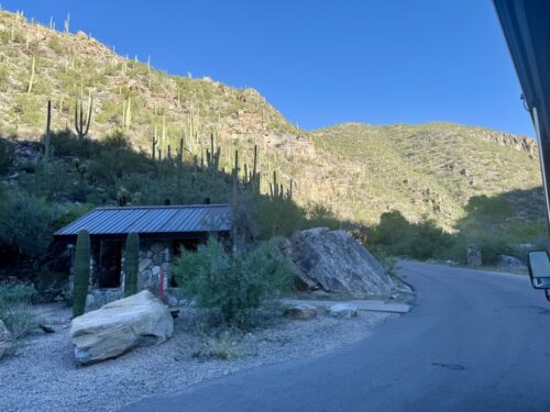 トイレ_アリゾナ_サビノキャニオン_観光_ツーソン_トレイル_散歩_自然_sabino_サボテン