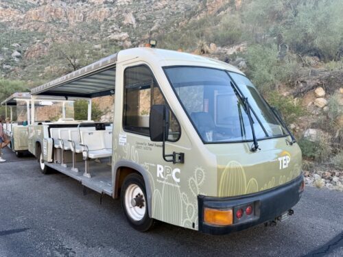 シャトル_アリゾナ_サビノキャニオン_観光_ツーソン_トレイル_散歩_自然_sabino_サボテン