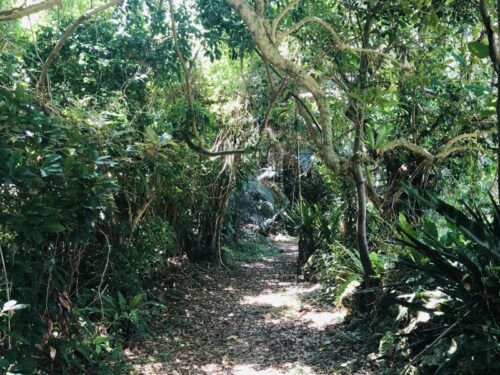 アメリカ生活_アリゾナ_駐在妻_アラフォー_モヤモヤ_ジェーンスー