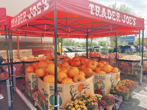 トレジョ_購入品_アメリカ生活_traderjoes_お土産_駐在_スーパー_ハロウィン