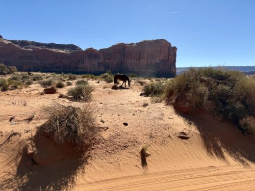 モニュメントバレー_ジープツアー_ナバホ_映え写真_フォトスポット_馬