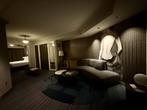 ラスベガス_ホテル_コスモポリタン_部屋_宿泊_冷蔵庫_ルーム