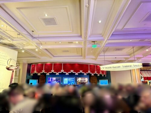 ラスベガス_シルク・ドゥ・ソレイユ_Cirque_du_Soleil_会場_ベラージオ