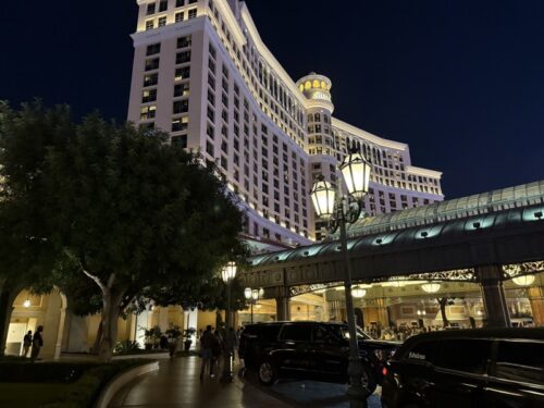 ラスベガス_シルク・ドゥ・ソレイユ_Cirque_du_Soleil_会場_ベラージオ