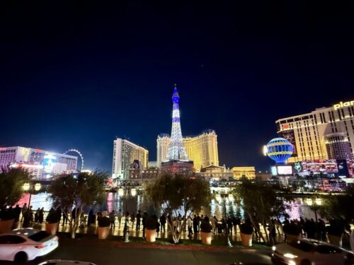 ラスベガス_シルク・ドゥ・ソレイユ_Cirque_du_Soleil_ベラージオ