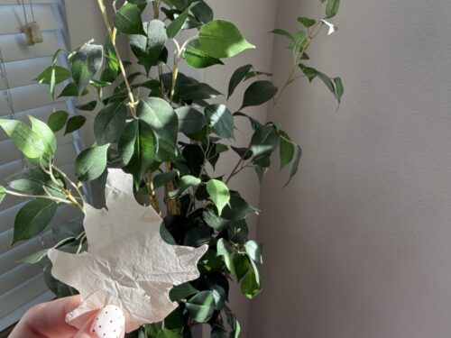 ラスベガス_スフィア_OZ_oz_オズ_映画_劇場_Sphere_嵐