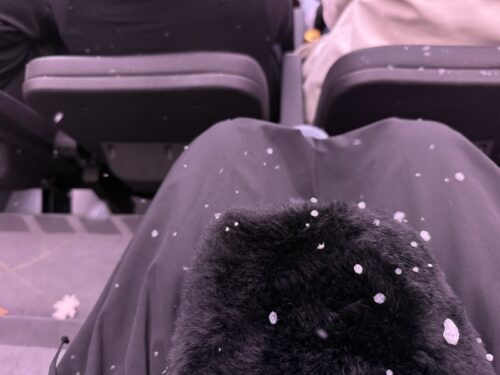 ラスベガス_スフィア_OZ_oz_オズ_映画_劇場_Sphere_泡