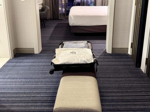 アメリカ_国内_スーツケース_ラスベガス_2泊3日_パッキング_ロードトリップ