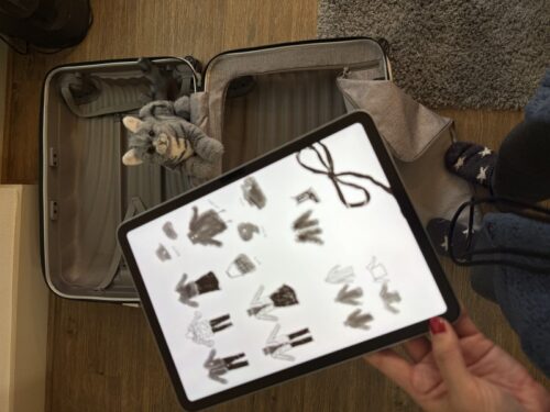 旅_パッキング_コーデ_荷造り_決め方_アイディア